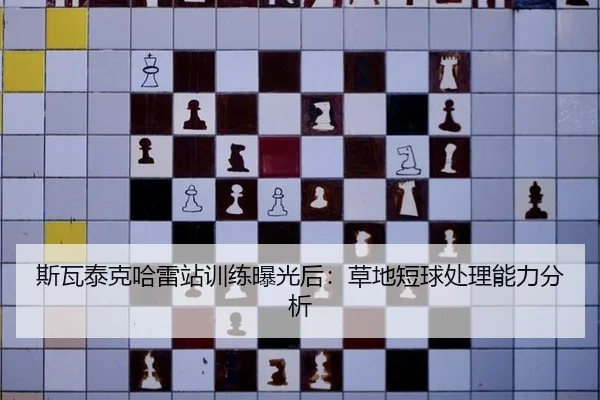 si-wa-tai-ke-ha-lei-zhan-xun-lian-bao-guang-hou-cao-di-duan-qiu-chu-li-neng-li-fen-xi-2-301.jpg